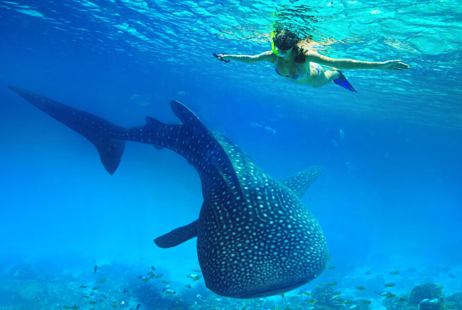 Maldives