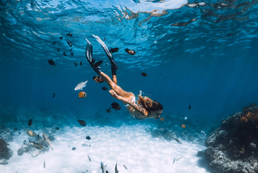 Snorkle